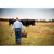 Cattle Rancher walking through a field with cows, holding a Gallagher S120 and ring top fence posts