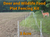 Gallagher Deer and wildlife food plot fencing kit with a deer in a field, text indicating 3-acre size.