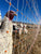 poultry fence holding chickens inside and protecting them from predators