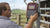 Rancher weighing cattle with the Gallagher W-1 Livestock Scale Indicator connect to load bars