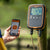 Gallagher W-0 Cattle Weighing Scale being used at a cattle ranch and connected to a phone app
