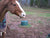 Horse with Lapp Single Hole Energy Free Waterer in pasture