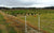 Gallagher 1 Acre Deer and  Wildlife electric fence around Christmas trees